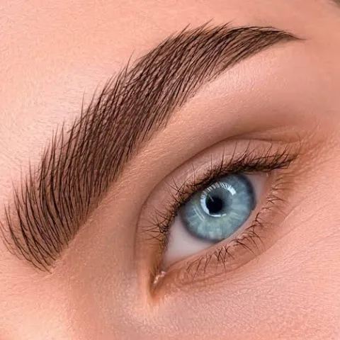 Laminated brows — style reference